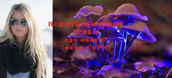спиды Коряжма