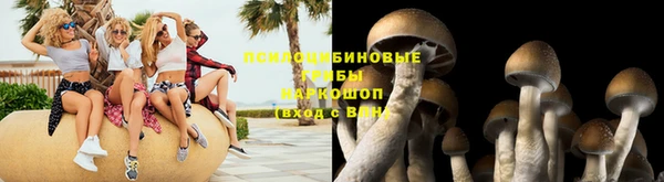 спиды Коряжма