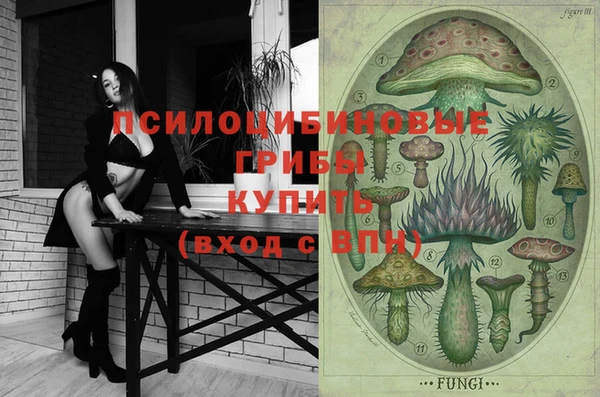 прущие крисы Костерёво
