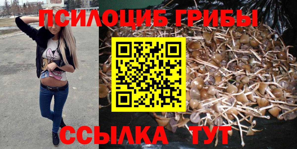 Коркино  Псилоцибиновые грибы прущие грибы  Вход с VPN 